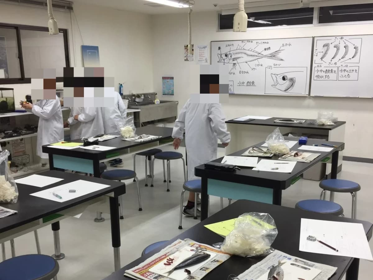 サイエンス倶楽部稲毛海岸教室 画像 5