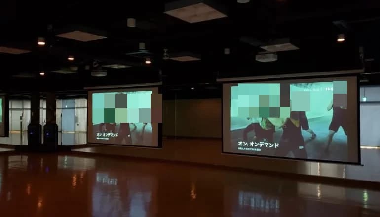 RENAISSANCE バレエ 国立24 画像 4