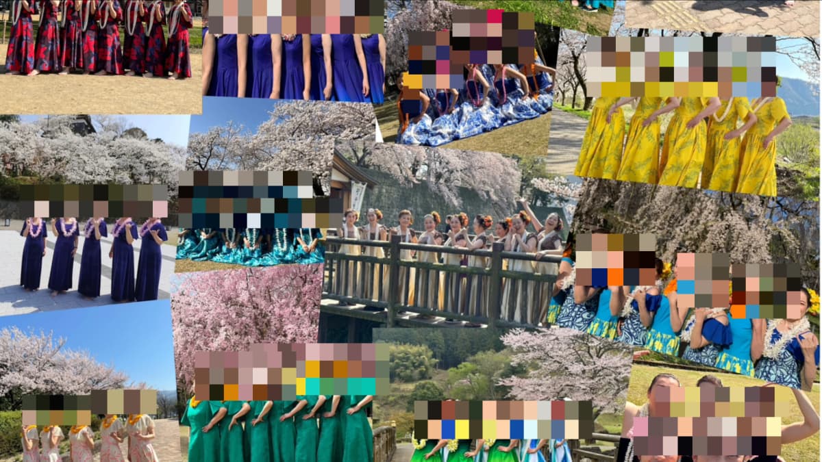 Fukui Alohalei Hula Studio ダンス 長本町教室 画像 8