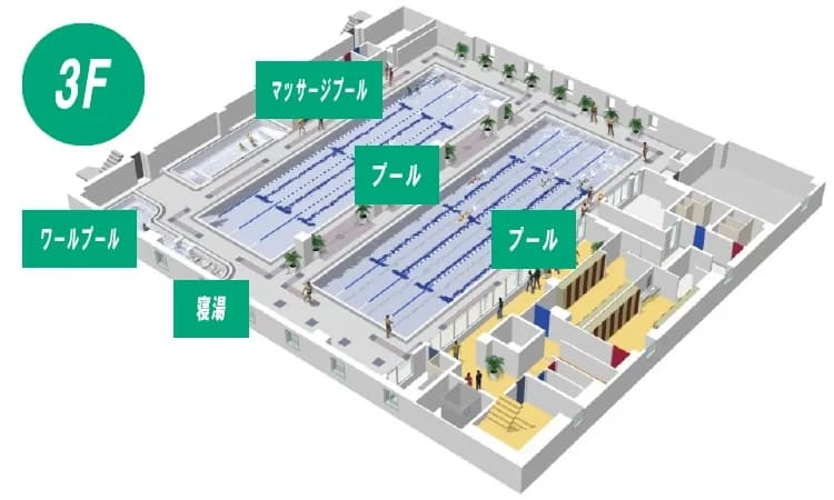 TIPNESS(ティップネス) スイミング・水泳 鴨居店 画像 5