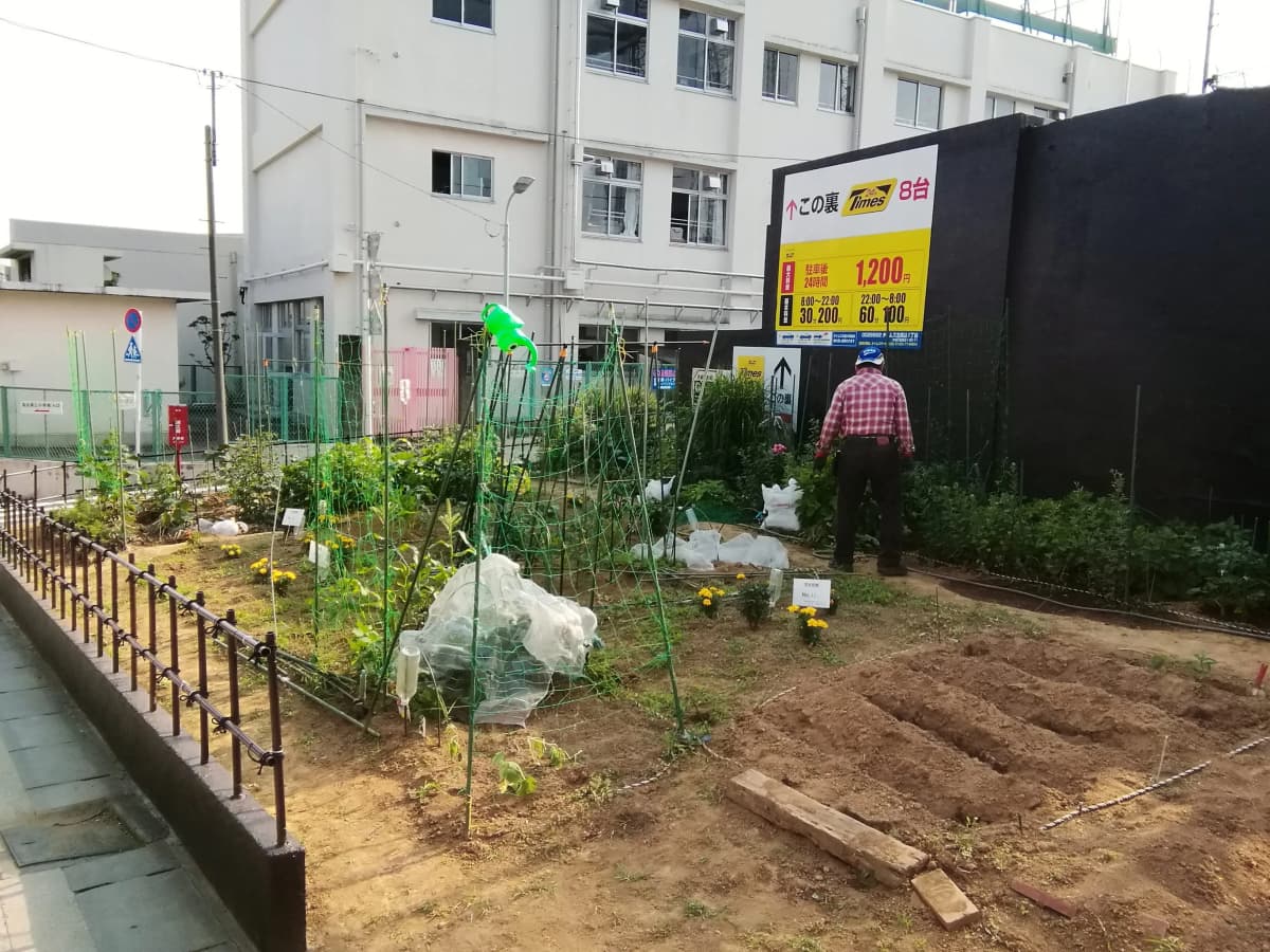 KIDS GOLF 馬込ゴルフガーデン練習場 画像 6