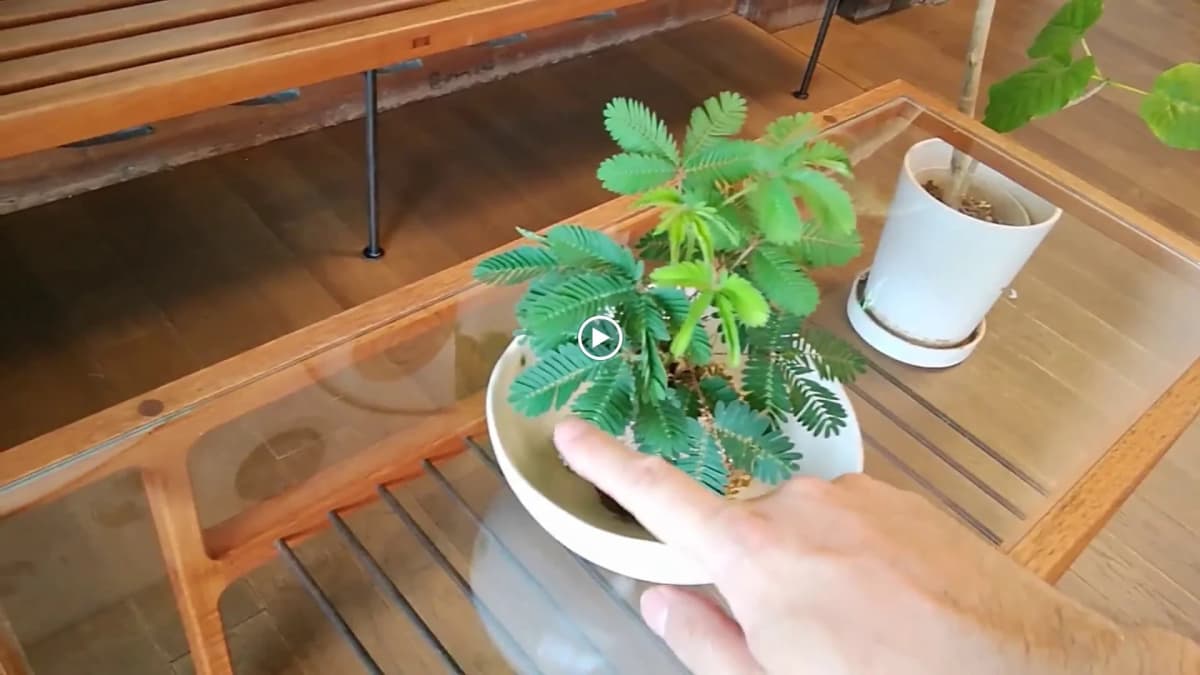 KIDS GOLF 馬込ゴルフガーデン練習場 画像 7