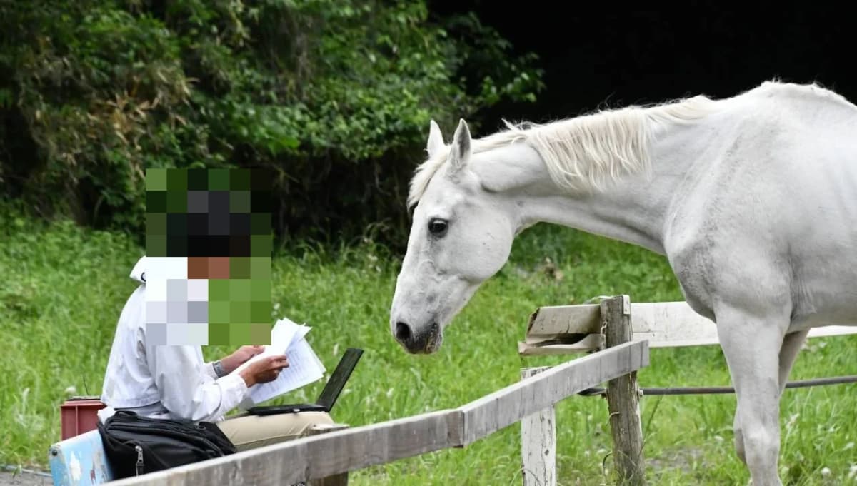 サムネイル画像 6