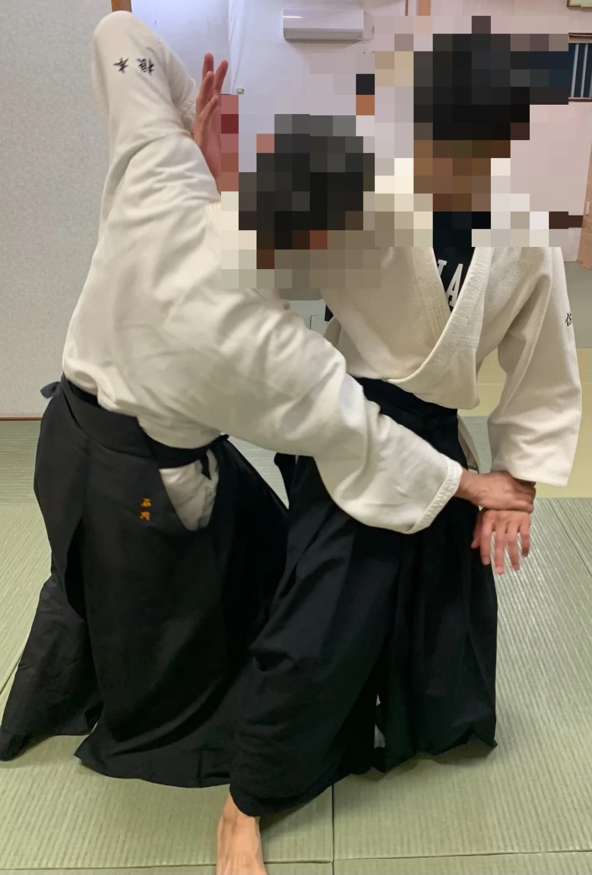 楽心館 合気道 千葉市武道館 子供と親子・一般の合気道クラス 画像 6