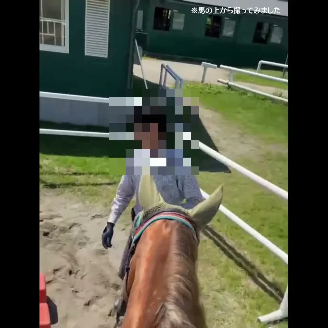 サムネイル画像 3