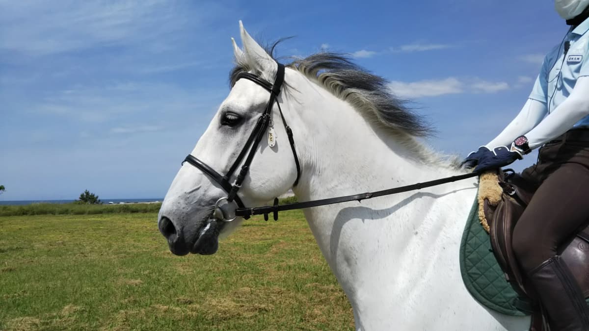 サムネイル画像 6