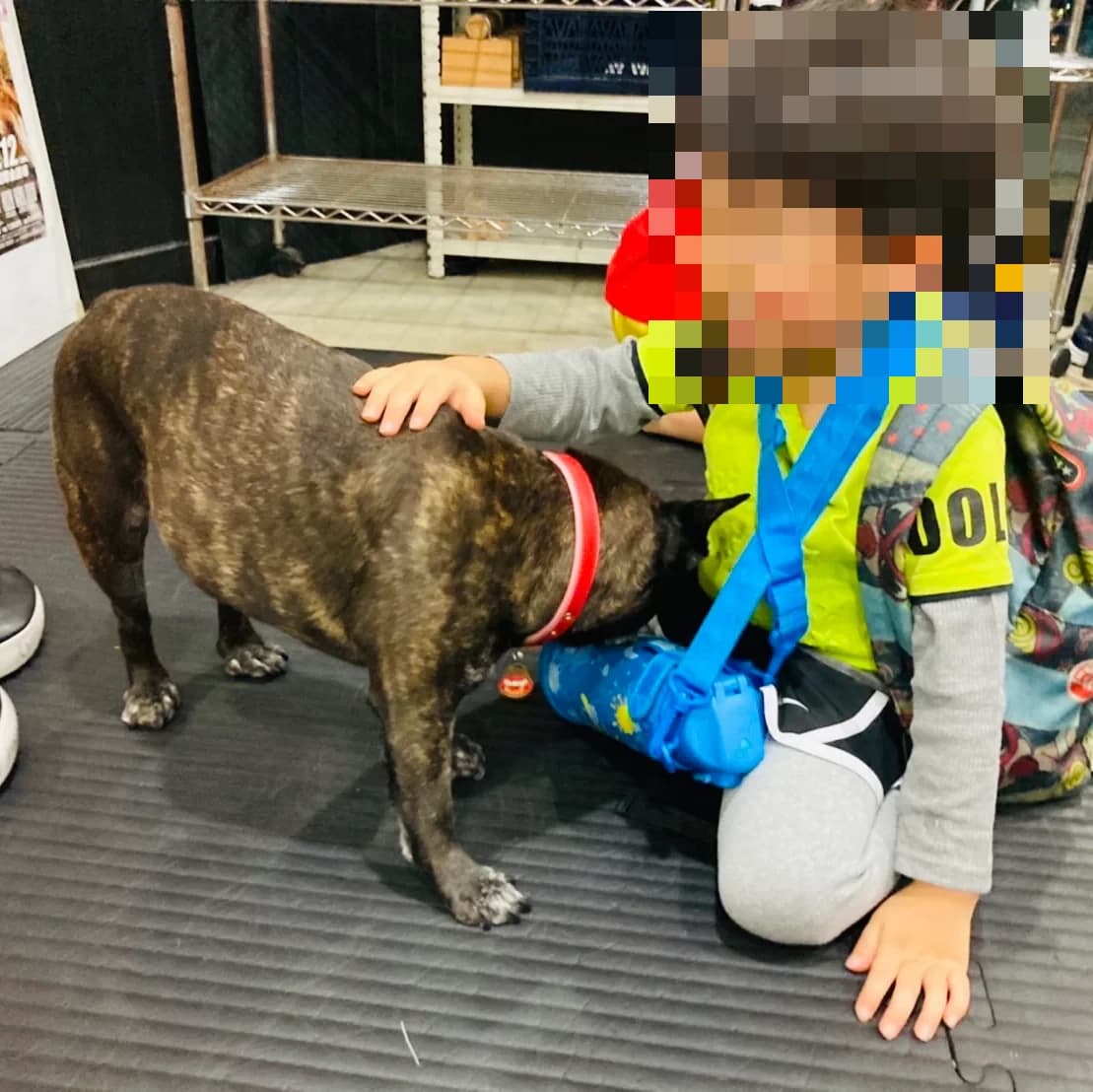 キング・ムエ キックボクシング 名古屋西ジム 画像 14