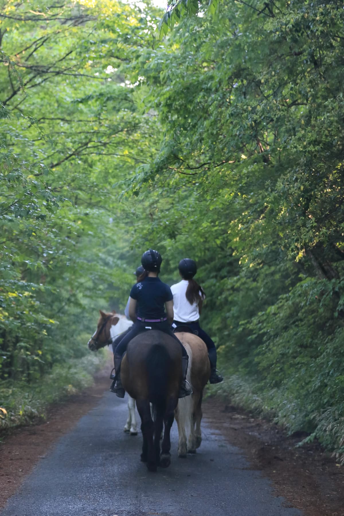 乗馬クラブCRANE(クレイン) 乗馬クラブ クレイン恵那 画像 8