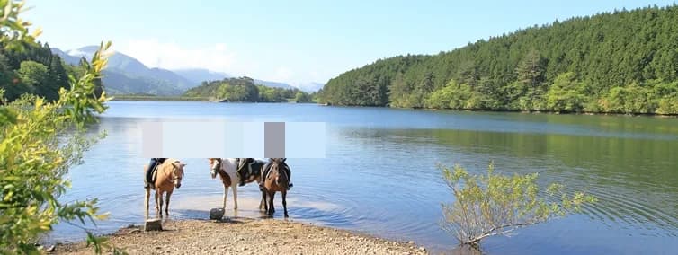 乗馬クラブCRANE(クレイン) 乗馬クラブ クレイン恵那 画像 9