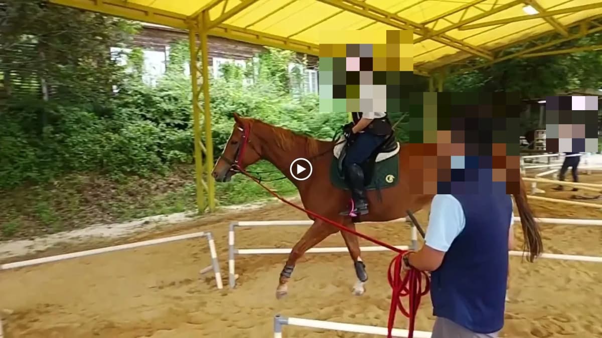 乗馬クラブCRANE(クレイン) 乗馬クラブ クレイン恵那 画像 2