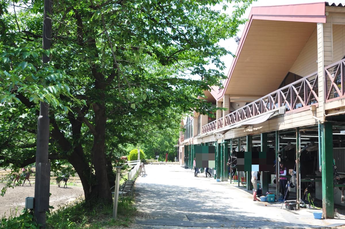 乗馬クラブCRANE(クレイン) 服部緑地乗馬センター（業務提携） 画像 2