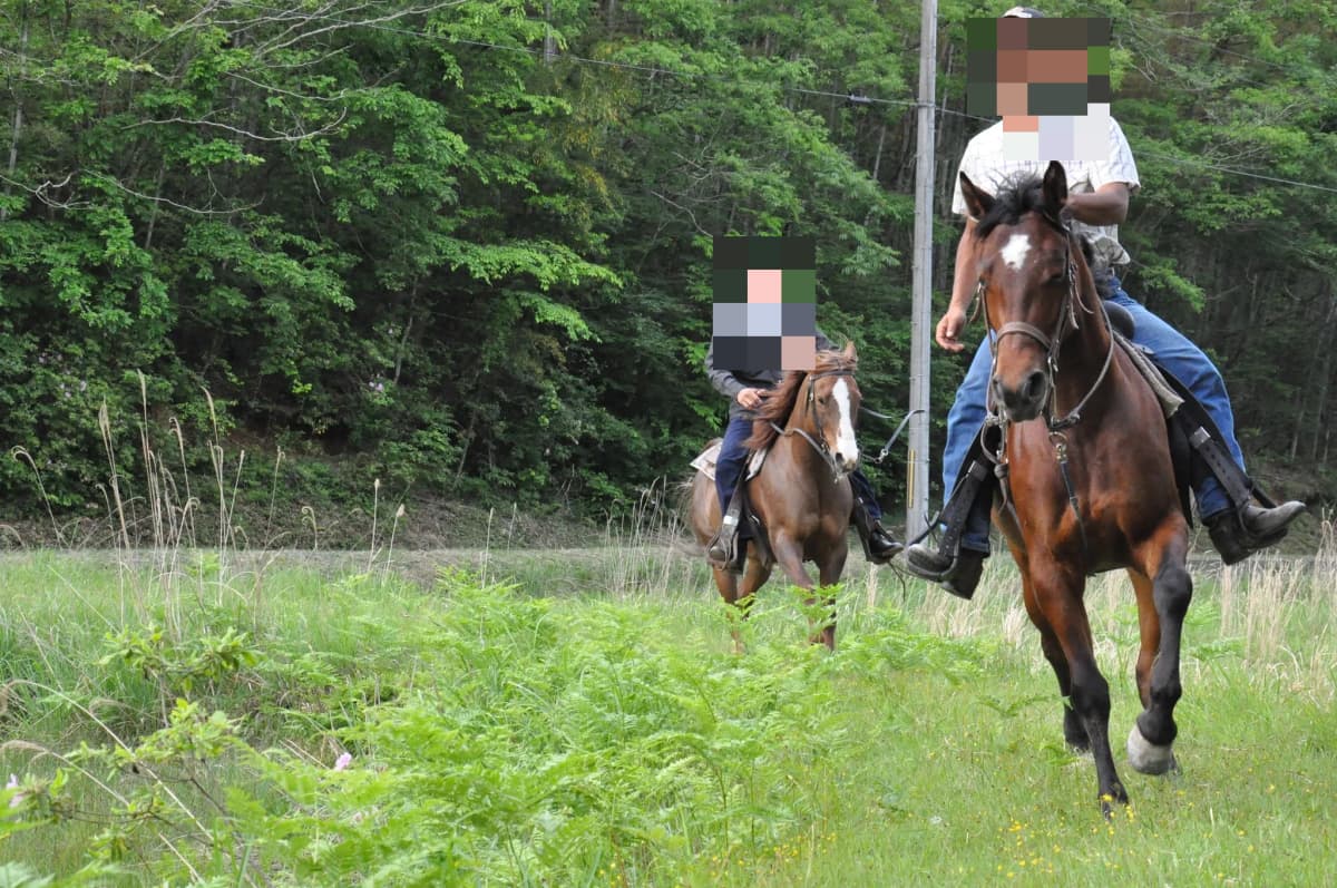TANIMOTO HORSE RANCH(タニモトホースランチ) 乗馬 京丹波町教室 画像 1