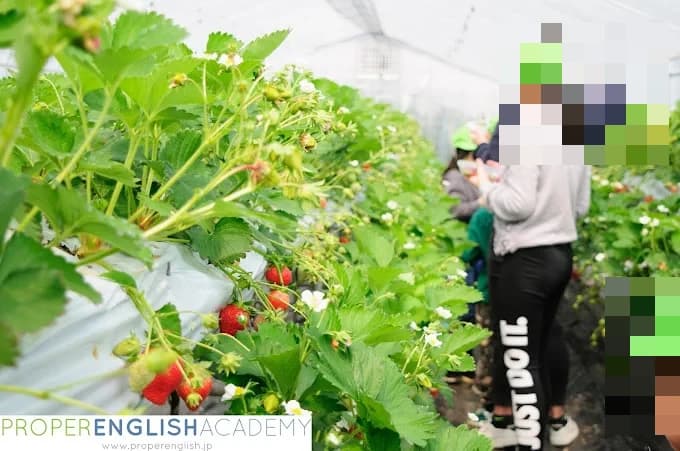 PROPER ENGLISH ACADEMY(プロパーイングリシュアカデミー) 北堀江教室 画像 2