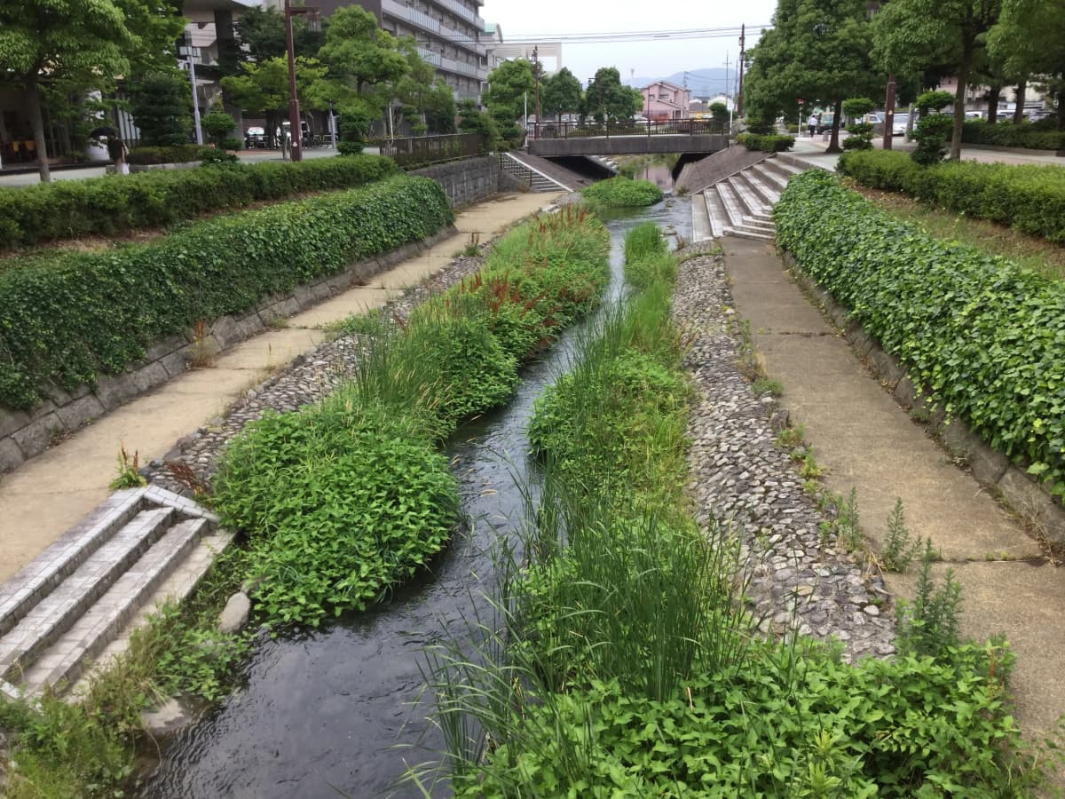 STEP WORLD(ステップワールド) 英語・英会話 宮古島教室 画像 2