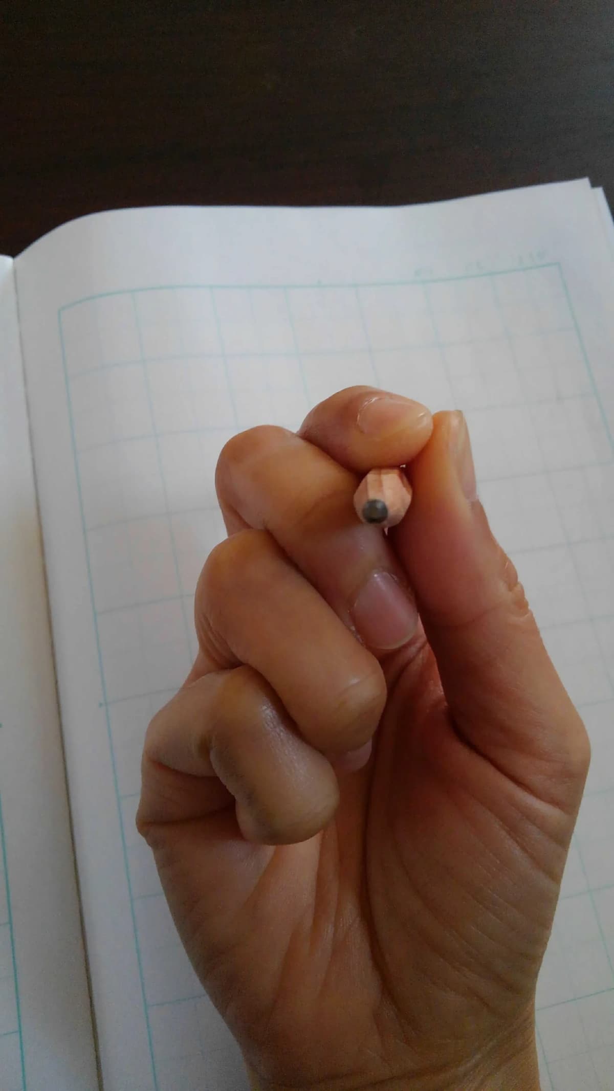 サムネイル画像 4