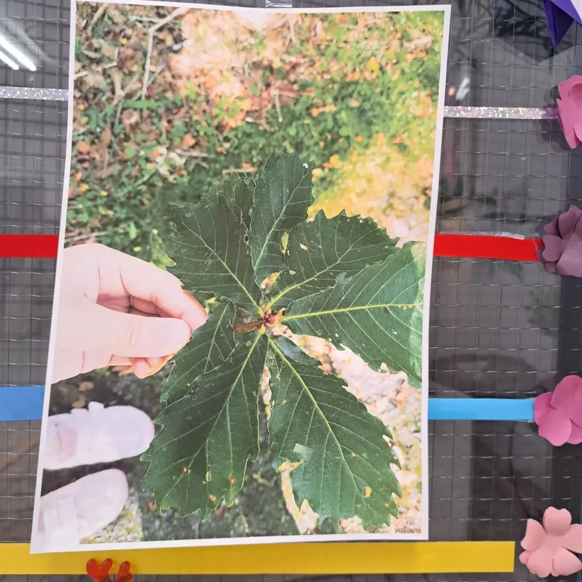 スズキ・メソード 音楽教室 ピアノ 麻布十番教室 画像 91