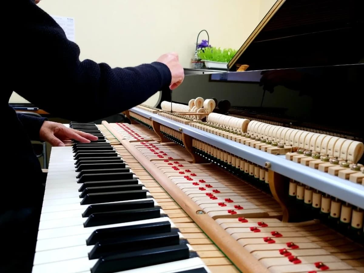 ハセガワ楽器 ピアノ 奥 町 画像 77