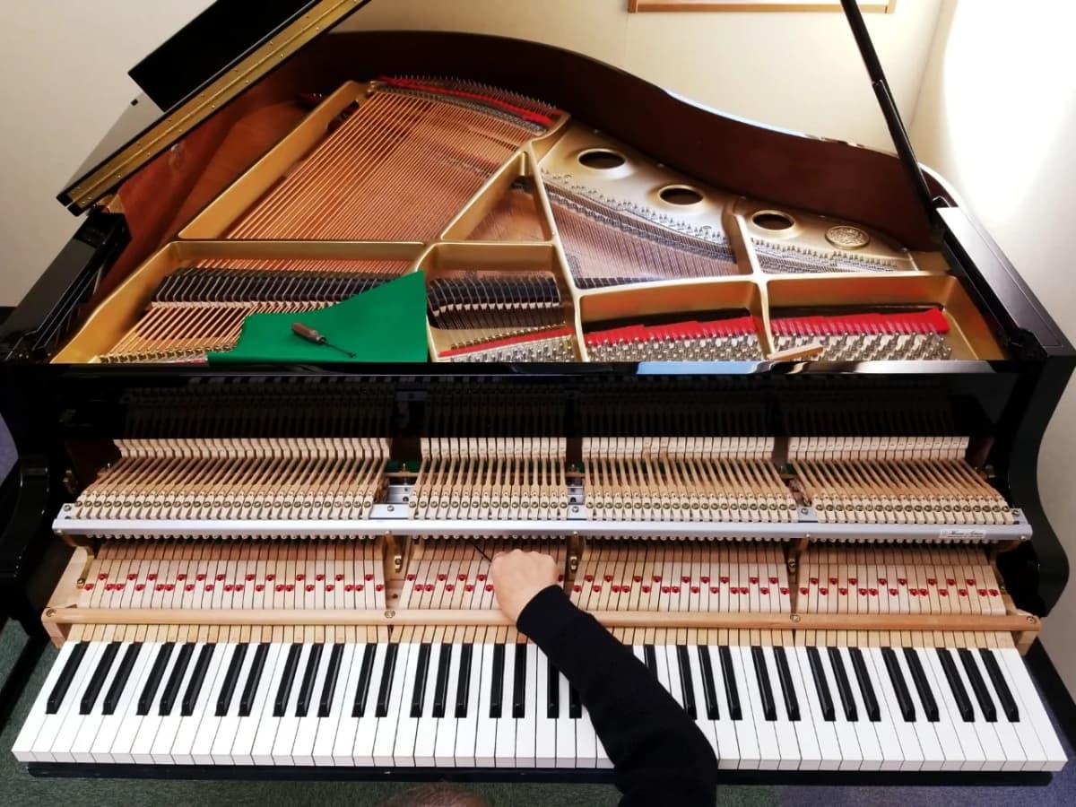 ハセガワ楽器 ピアノ 奥 町 画像 44