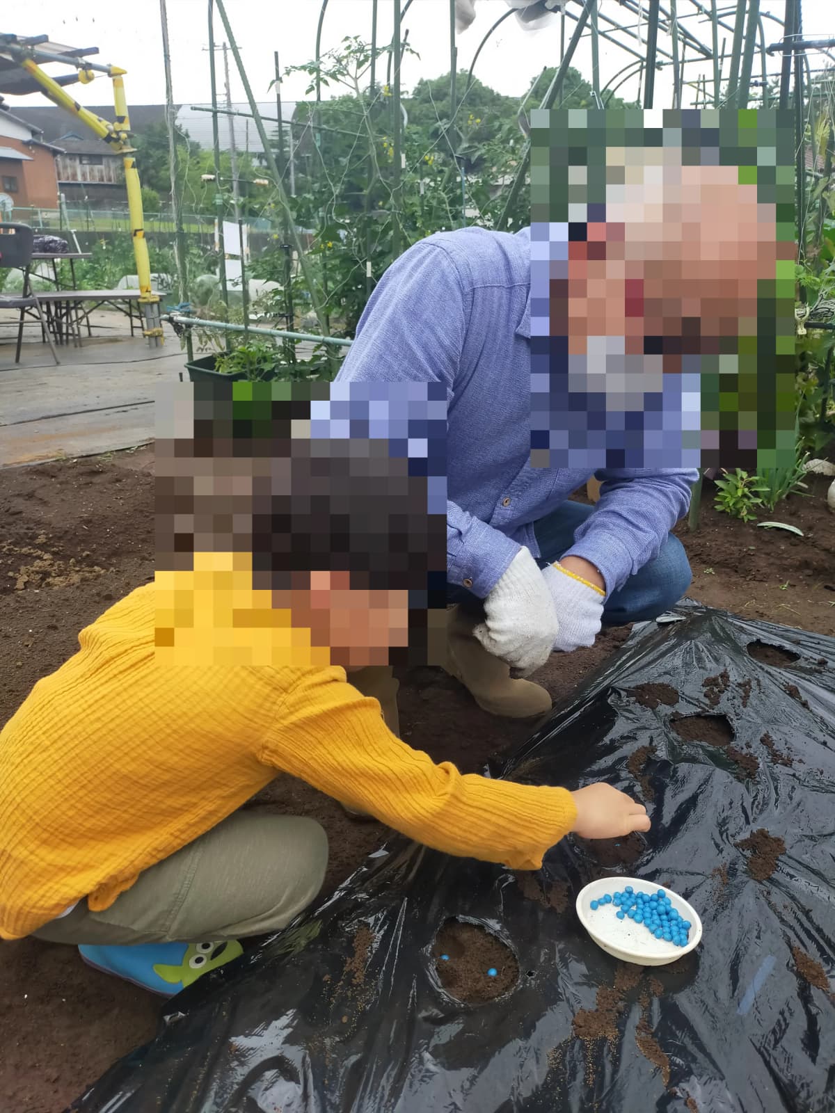 サムネイル画像 6