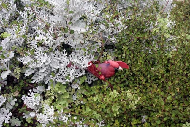 ポワンポワンスタジオ ヴァイオリン 日進教室のメイン画像