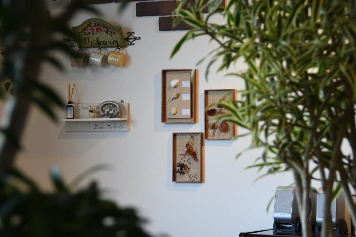 パピーミュージックスクール バイオリン 岡崎矢作教室 画像 12