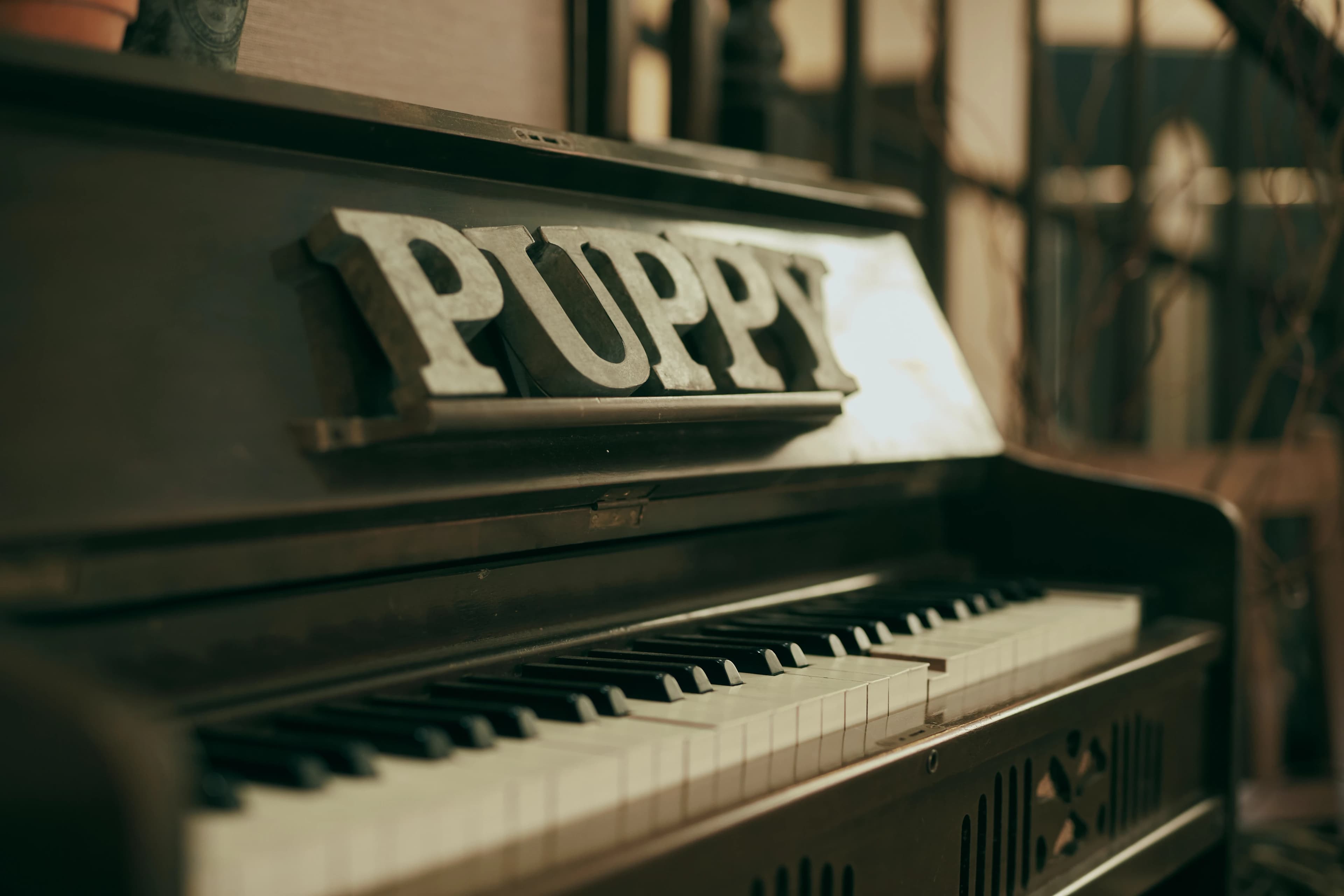 パピーミュージックスクール バイオリン 岡崎矢作教室のサムネイル画像 3