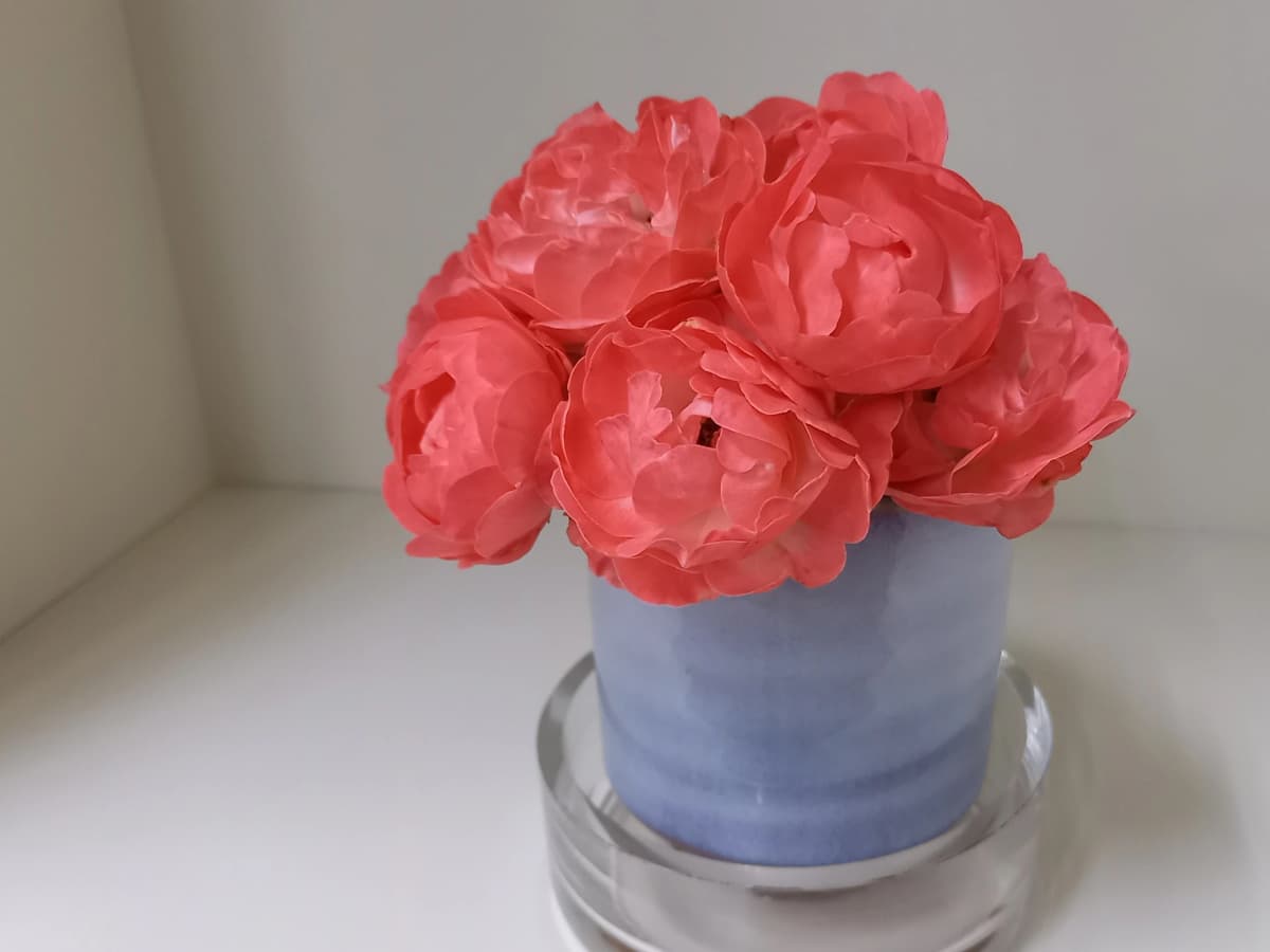 ハセガワ楽器 ヴァイオリン 一宮センター教室のメイン画像