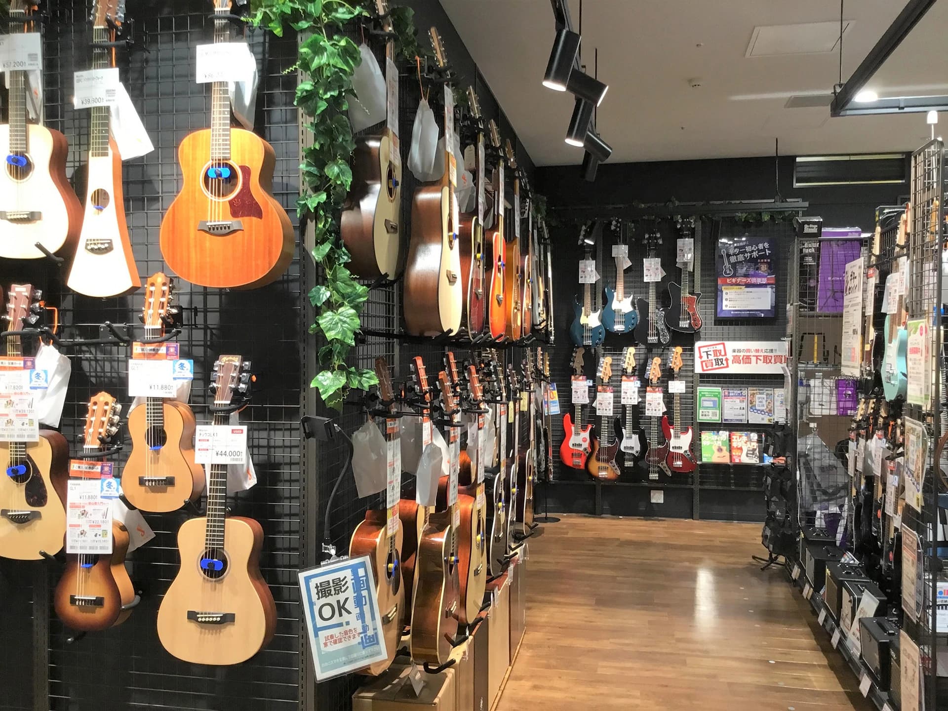 島村楽器 ヴァイオリン セブンパーク天美店のサムネイル画像 2