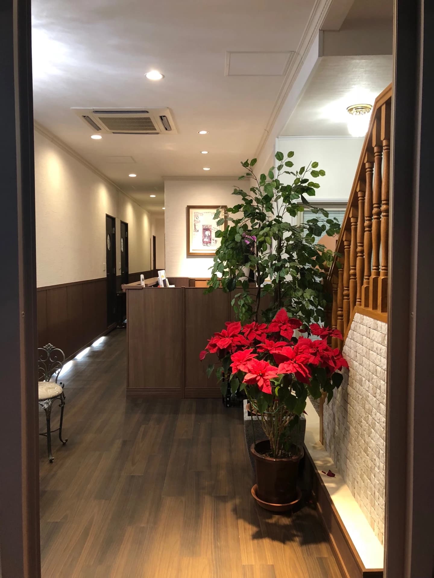 フジモト音楽教室 ヴァイオリン 小松教室のサムネイル画像 4