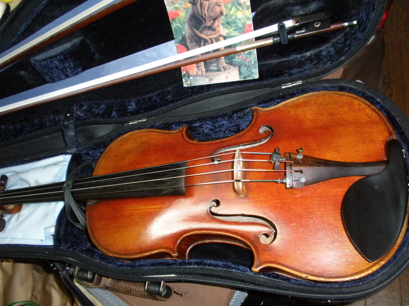 バイオリン ビオラ レッスン ブリリオ 豊中市曽根のメイン画像