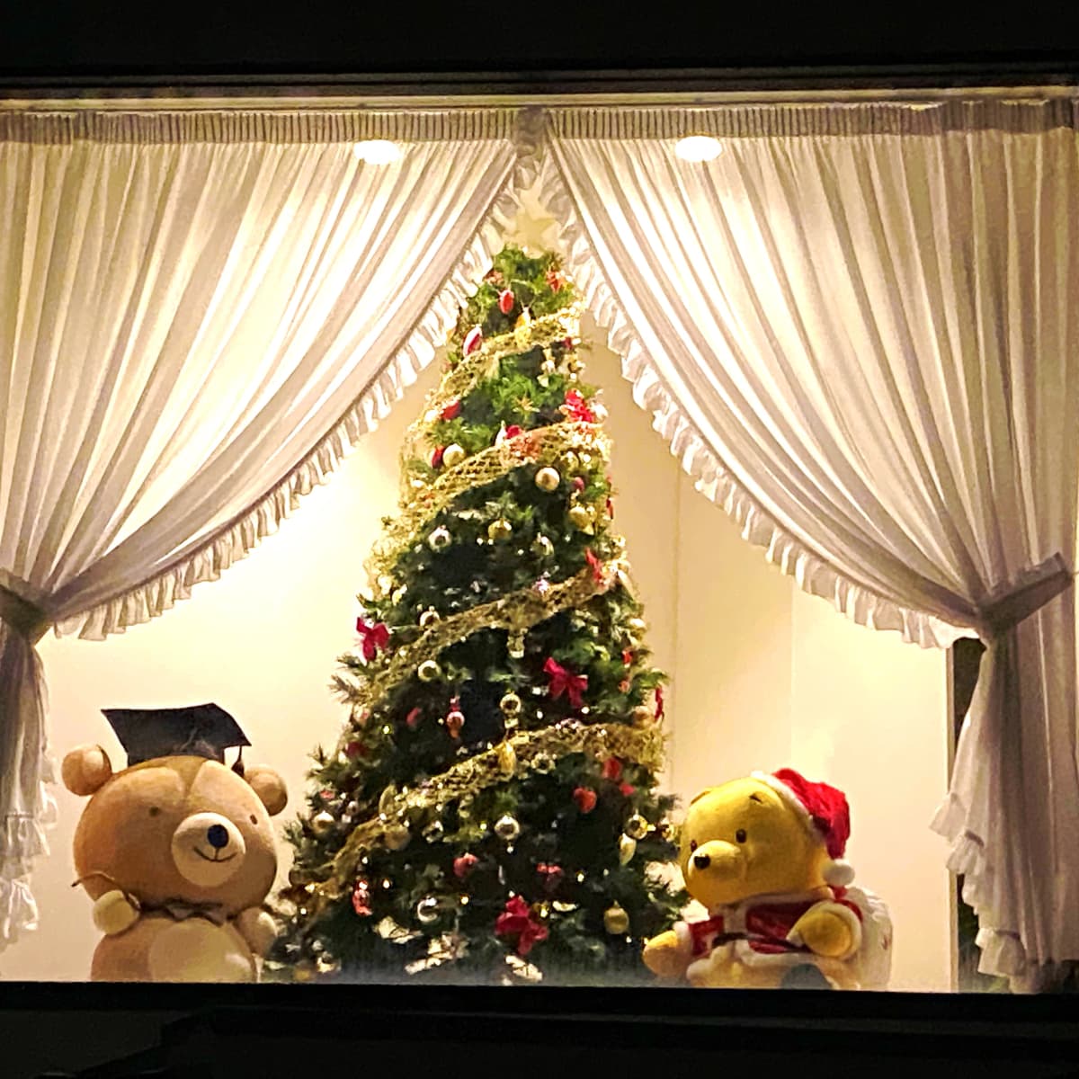 豊岡教育音楽学院 ヴァイオリン 豊岡教室 画像 29