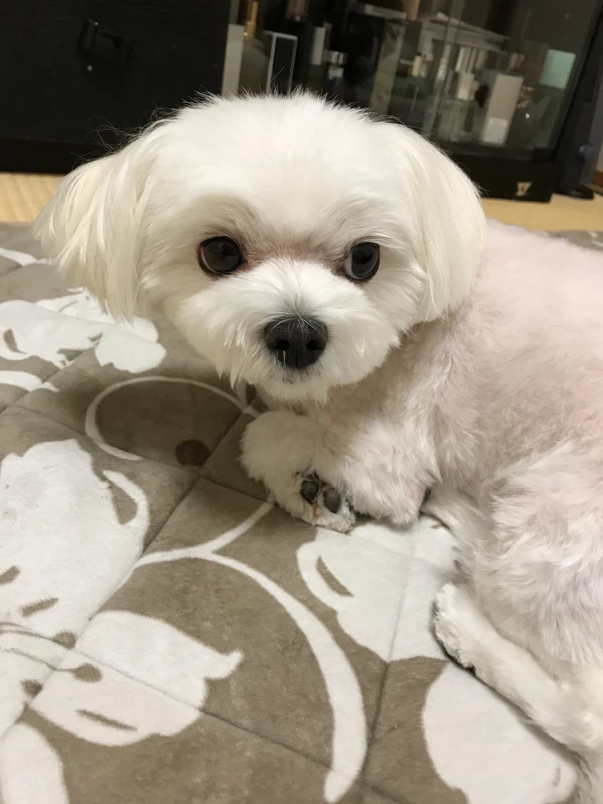 フクトメ　ピアノ・バイオリン教室 若葉町教室 画像 19