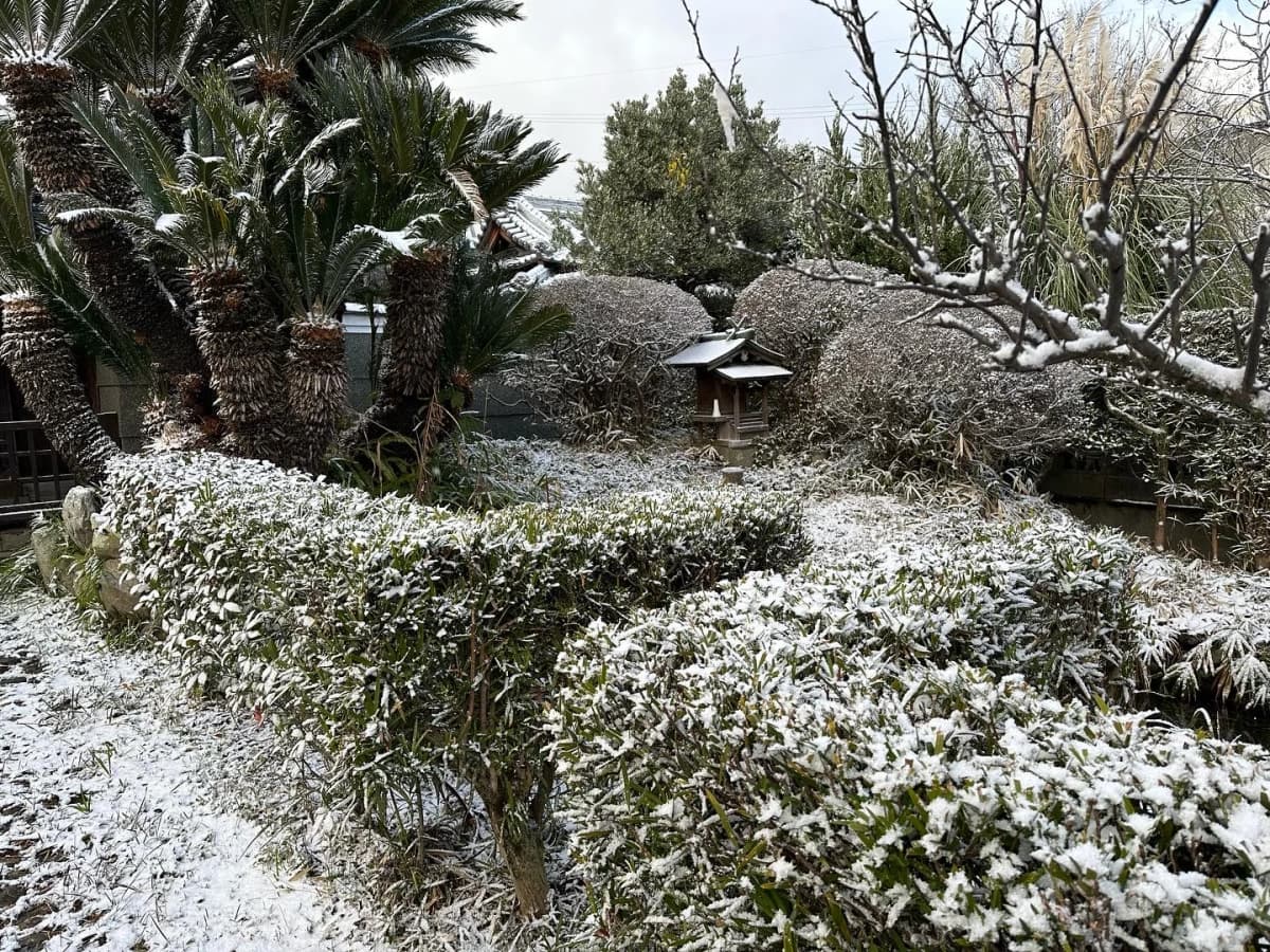 サムネイル画像 3