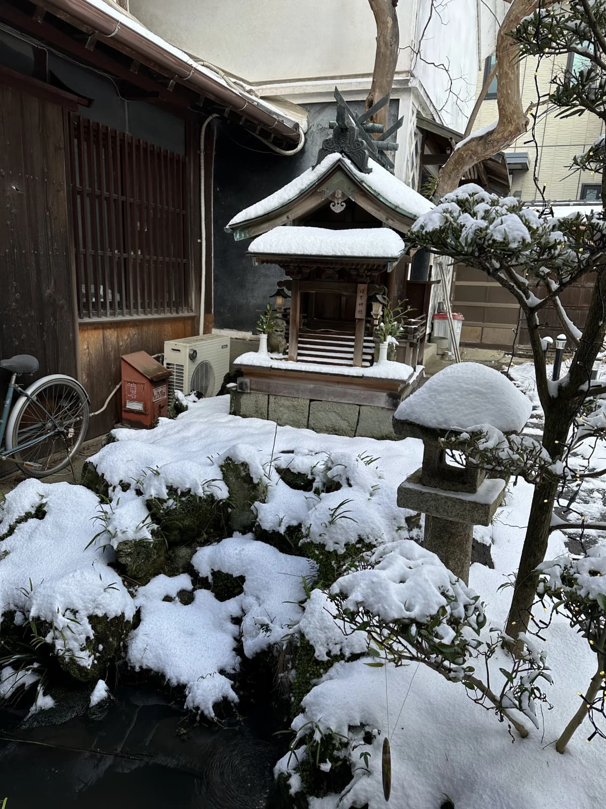 サムネイル画像 5