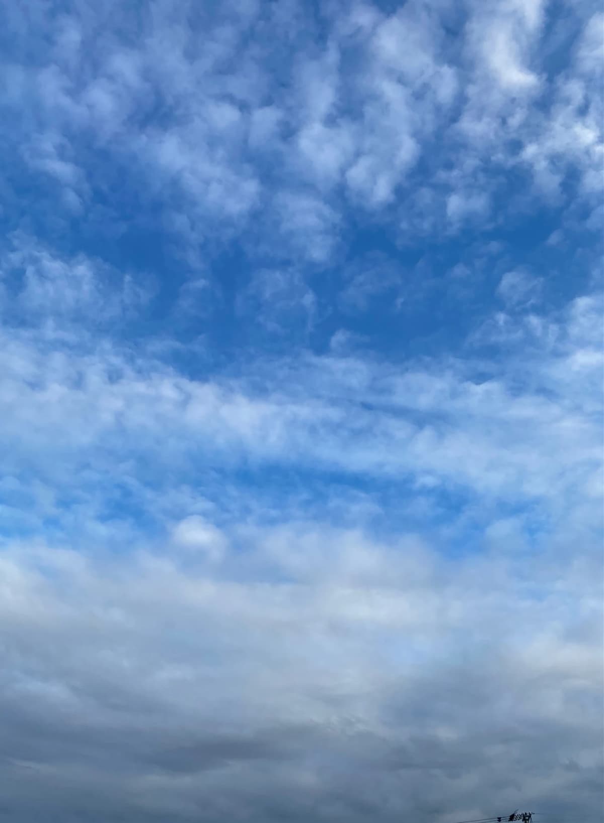 サムネイル画像 4