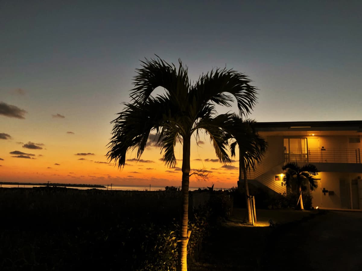 サムネイル画像 6