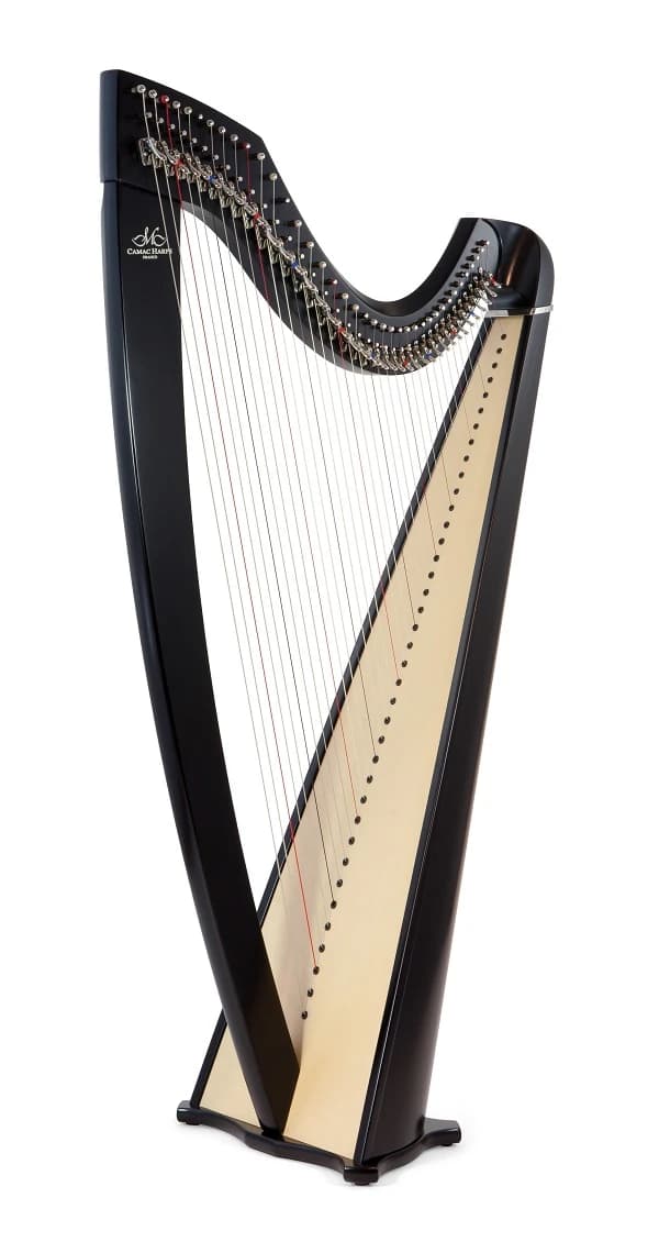 高田ハープサロン ハープ 西麻布教室のメイン画像