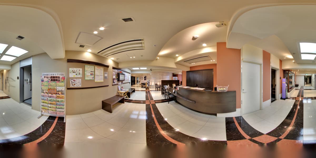 スガナミ楽器 マンドリン ミュージックサロン目黒 画像 47