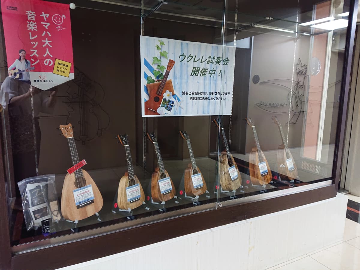 スガナミ楽器 マンドリン ミュージックサロン目黒 画像 50