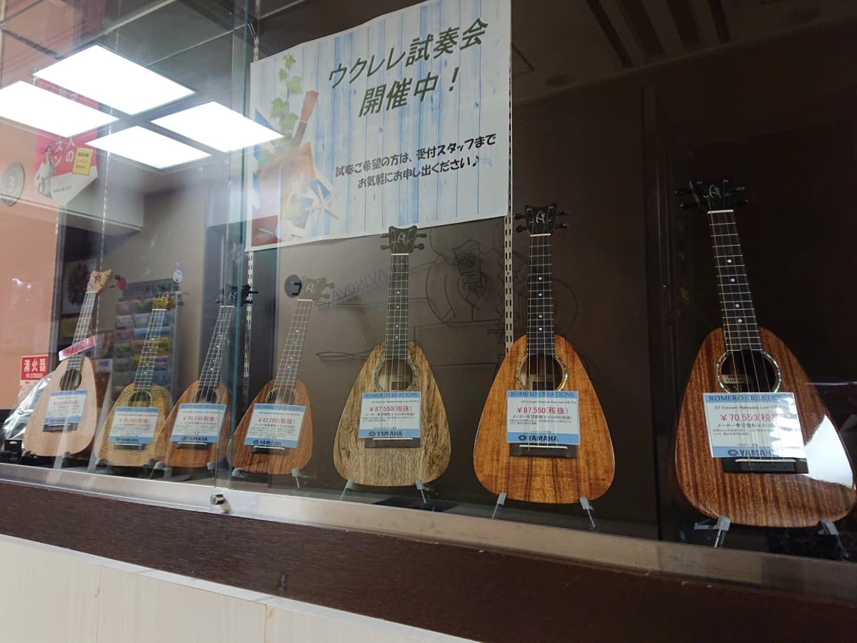 スガナミ楽器 マンドリン ミュージックサロン目黒 画像 28