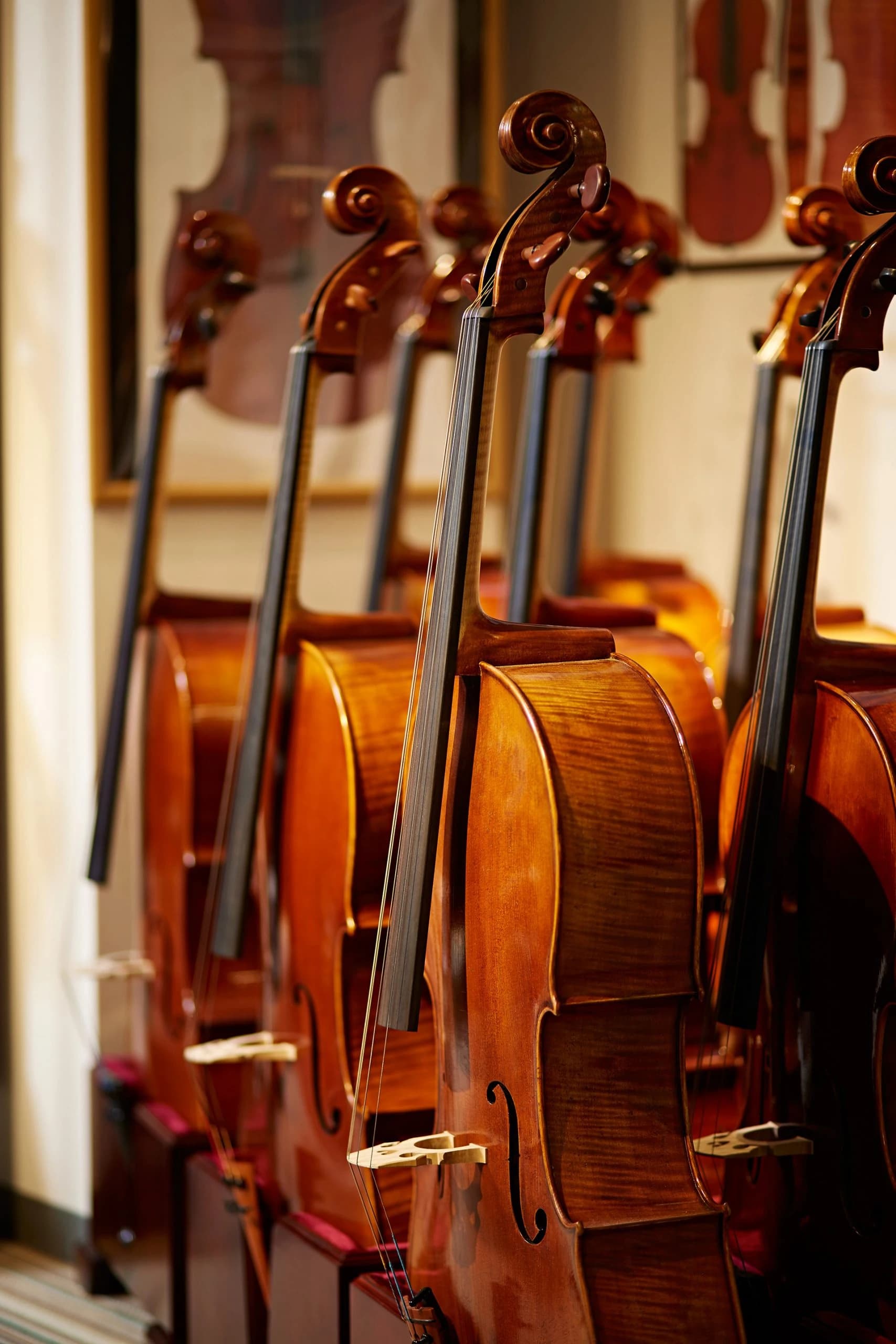 SoulArrow チェロ 秋葉原のメイン画像