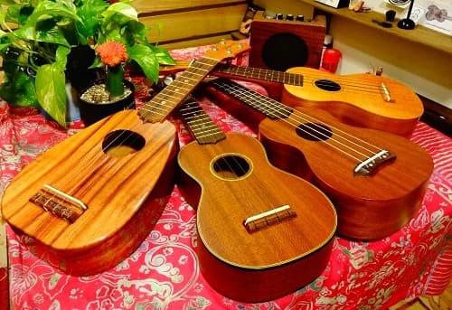 そどみら ウクレレ 豊玉北教室のサムネイル画像 5