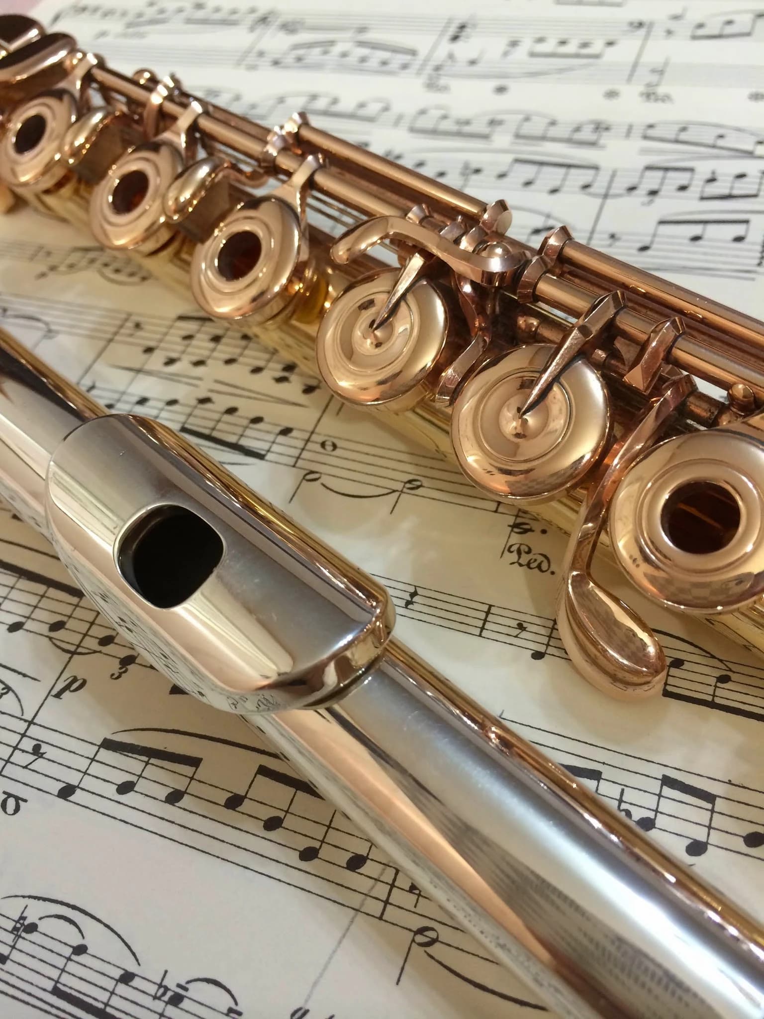 Ange Passe コントラバス 厚原教室のメイン画像