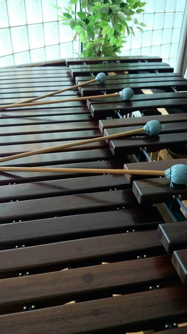 Ange Passe コントラバス 厚原教室のサムネイル画像 2