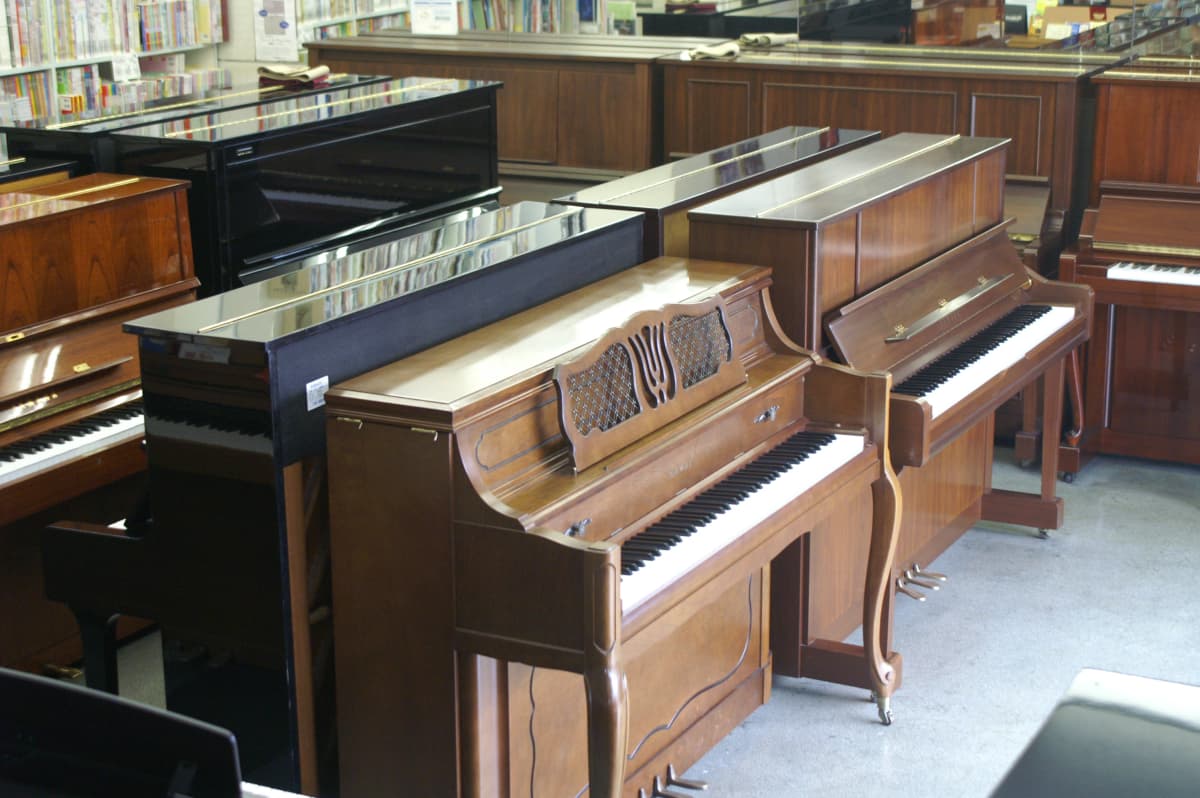 第一楽器 ベース 八戸ノ里教室のサムネイル画像 5