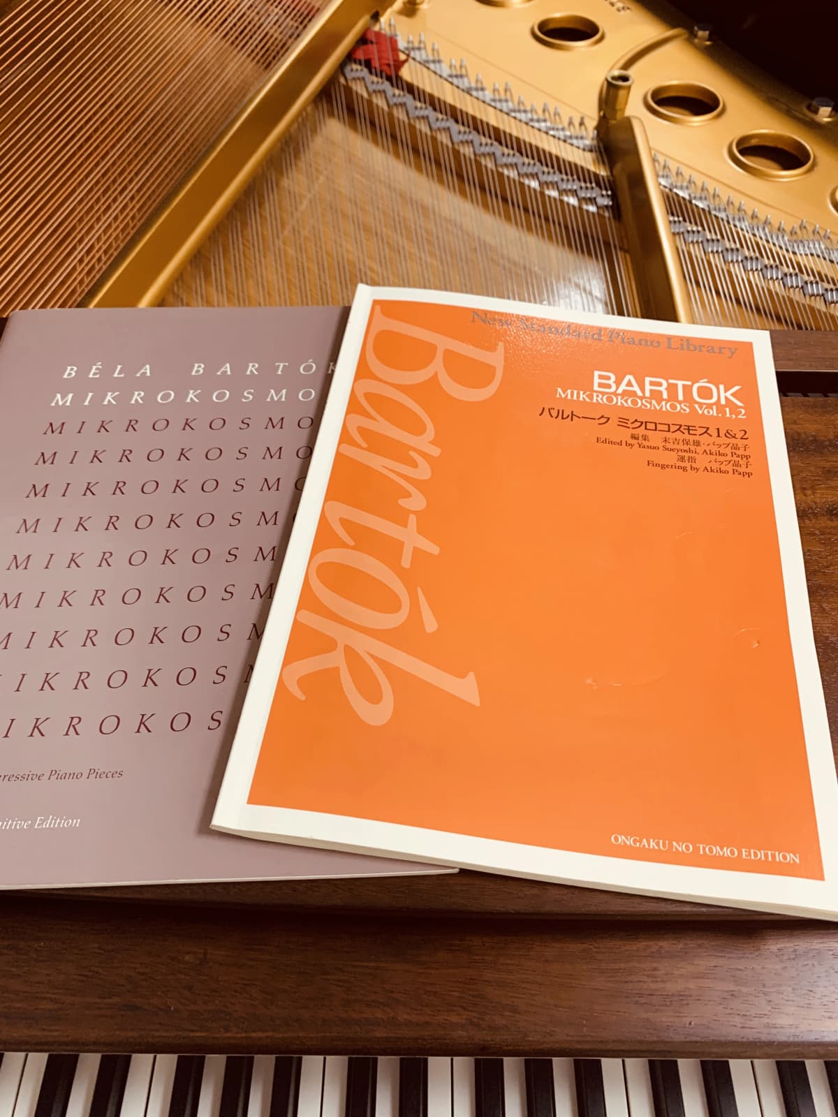 トート音楽院 チェロ 梅田のサムネイル画像 2