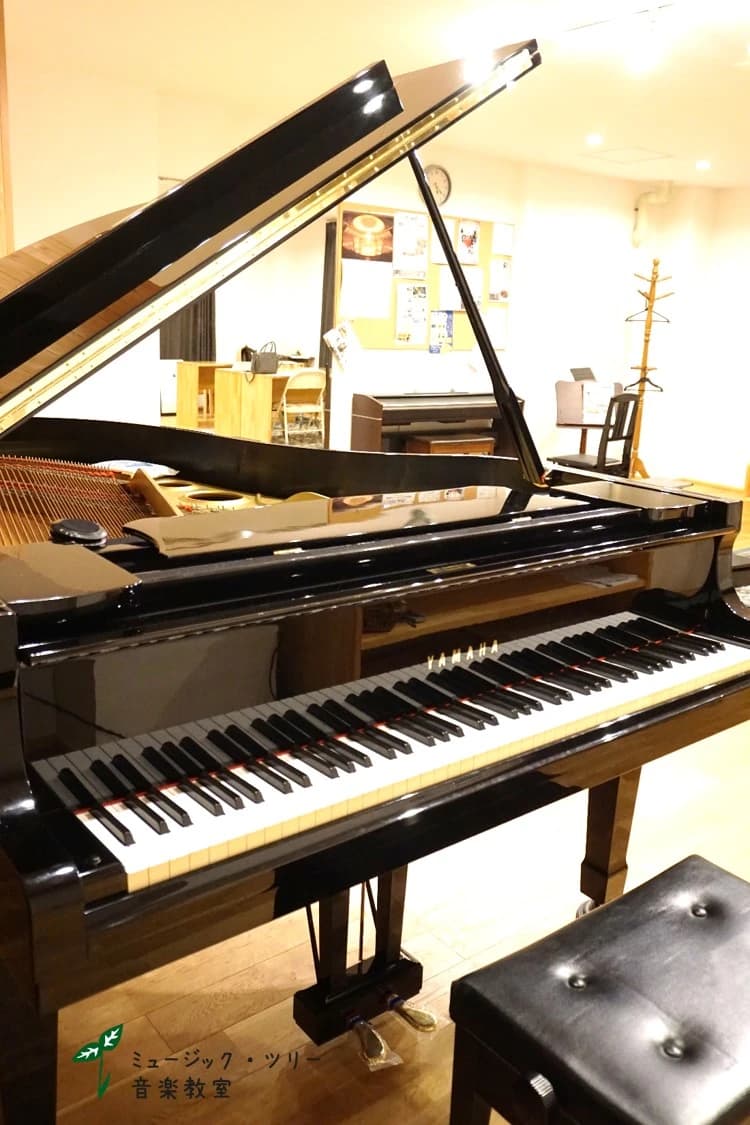 サムネイル画像 6