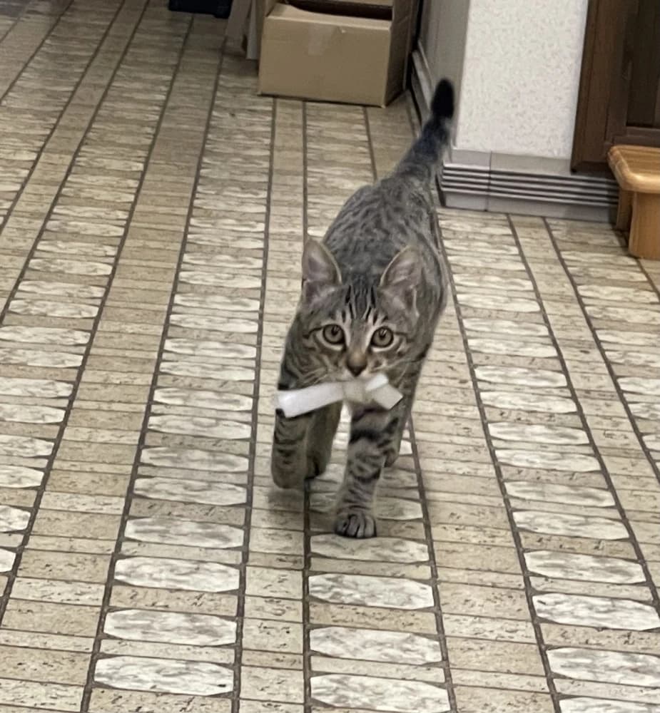 イケダ楽器 電子オルガン 御成町教室 画像 20