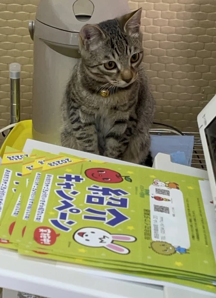 イケダ楽器 電子オルガン 御成町教室 画像 21