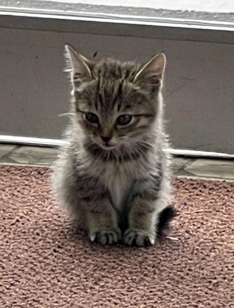 イケダ楽器 電子オルガン 御成町教室 画像 24